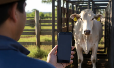 Seu Celular Pode Virar uma Balança de Gado