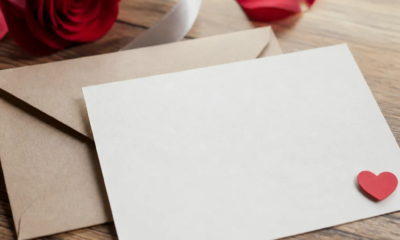 Cartas com Declarações Especiais: Modelos